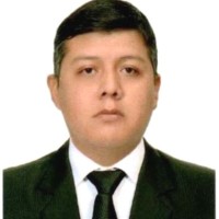Elvis Basilio Labra Mamani