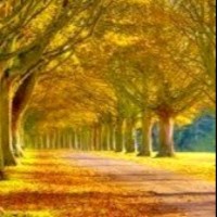 In Touch Living By Faith