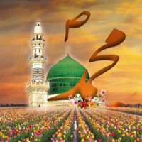 Md Tabarak