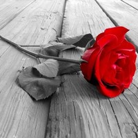 luz amparo delgadillo villa