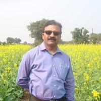 Manoj Bijagare