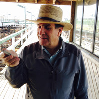 Nibaldo Correa Videla