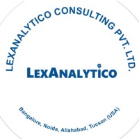Lexanalytico Consulting