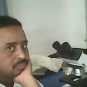anwar daoud