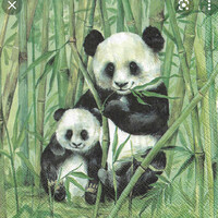 Bamboo Panda
