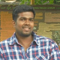 Sreeraj S