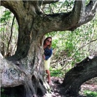 Mariah Mattison