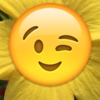 L T