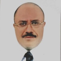 Walid Nagi