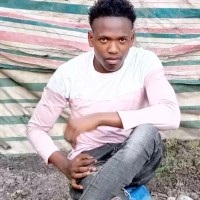Aeselefech Laako