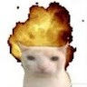 cas l