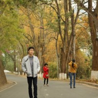 Tuan Do