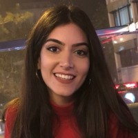 Bengisu Erdihan
