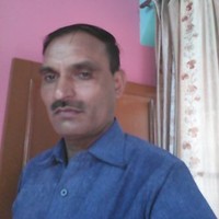 Surender Panwar