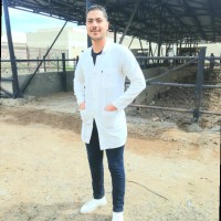 Walid Eldeeb