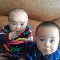 杨志高