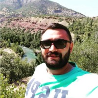 Yoldaş Kanbur