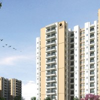 Prestige Group Keys