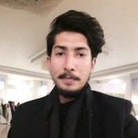 Muhammad Usama Faizan