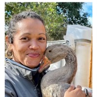 Sylvie Bardy-Plantin