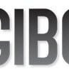 GIBO India
