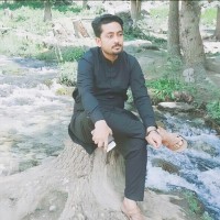 rashid saddiq