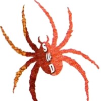 Spider Website Developers