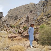 Mohib Ullah
