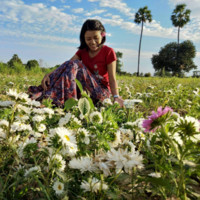 Khaing Zar Aung