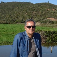 António Paulo Lemos