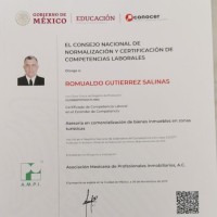 Romualdo Gutiérrez salinas