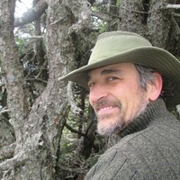 Christopher Foldesi