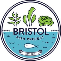 Bristol Fish