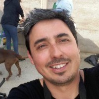 Paulo Saez Yañez