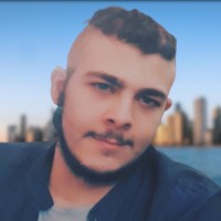 Amir Ali Malekani Nezhad