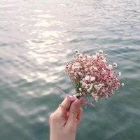 杨晶茹