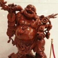 时光辉