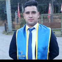 Diego Bulnes Flores