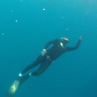 daniele bacciottini