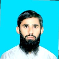 Muhammad Haider Sultan