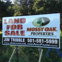 Jim Tribble