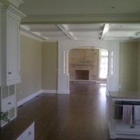 Ricardo Ferreira Platinum painting