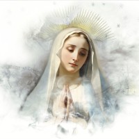 Militia Of The Immaculata USA