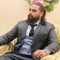 Muhammad Hamza Qadir