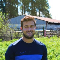 Daniel Martins