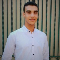 Mahmoud Salem