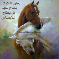 بريه برو