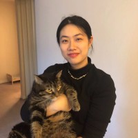 Linlin Tan