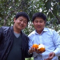 吴红伟