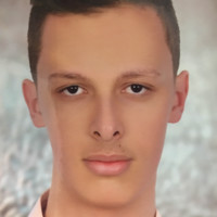 Amir H. Heidari